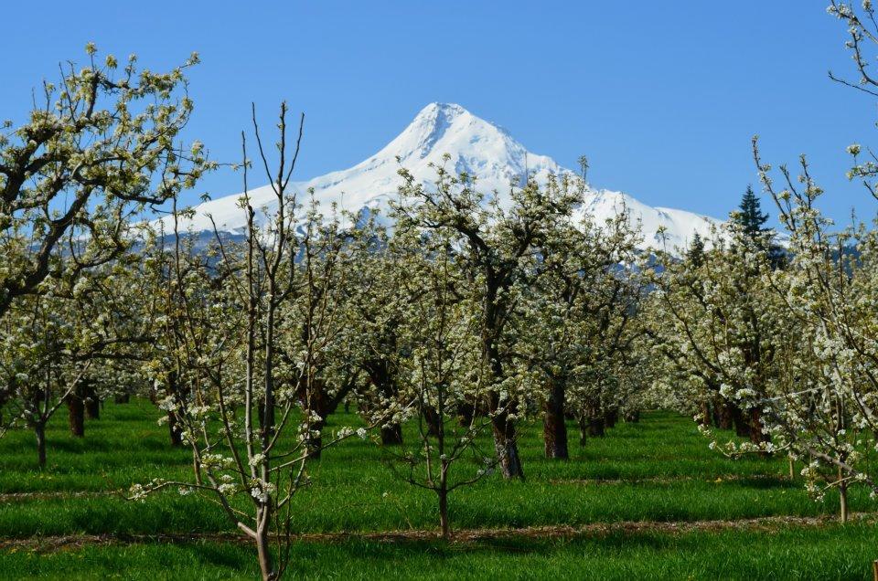 Old Parkdale Inn Bed And Breakfast Hood River Bagian luar foto